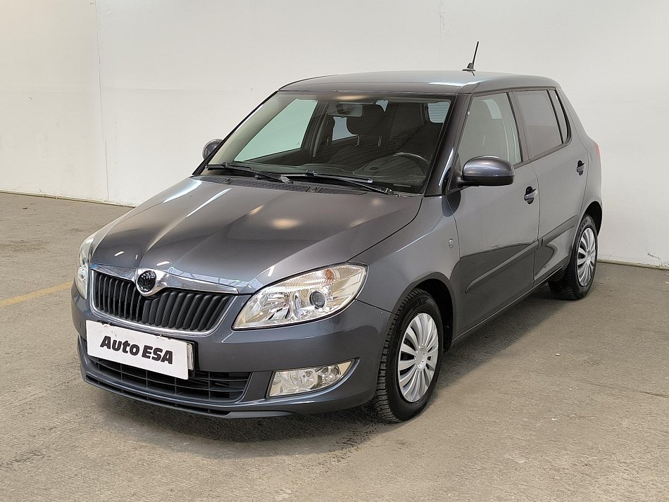 Škoda Fabia II 1.6 TDi 