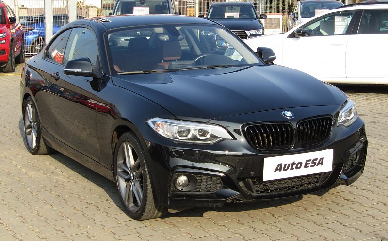 BMW Řada 2 2.0d M Paket 220d