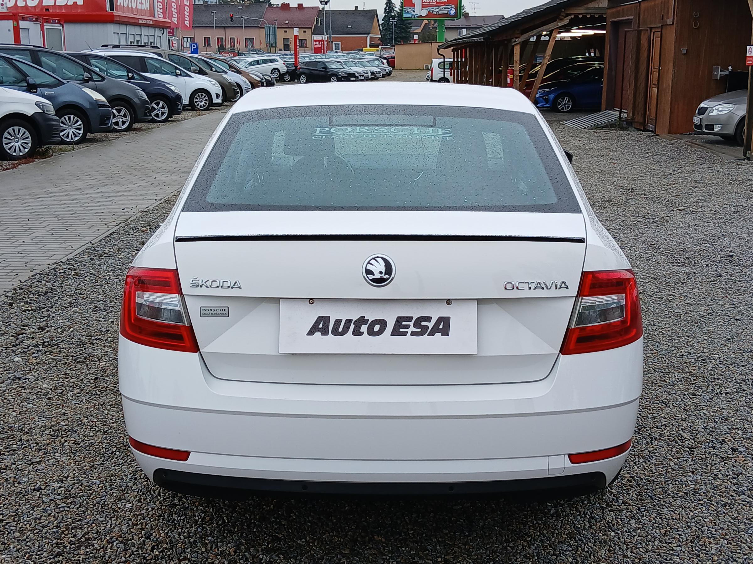 Škoda Octavia III, 2019 - pohled č. 5