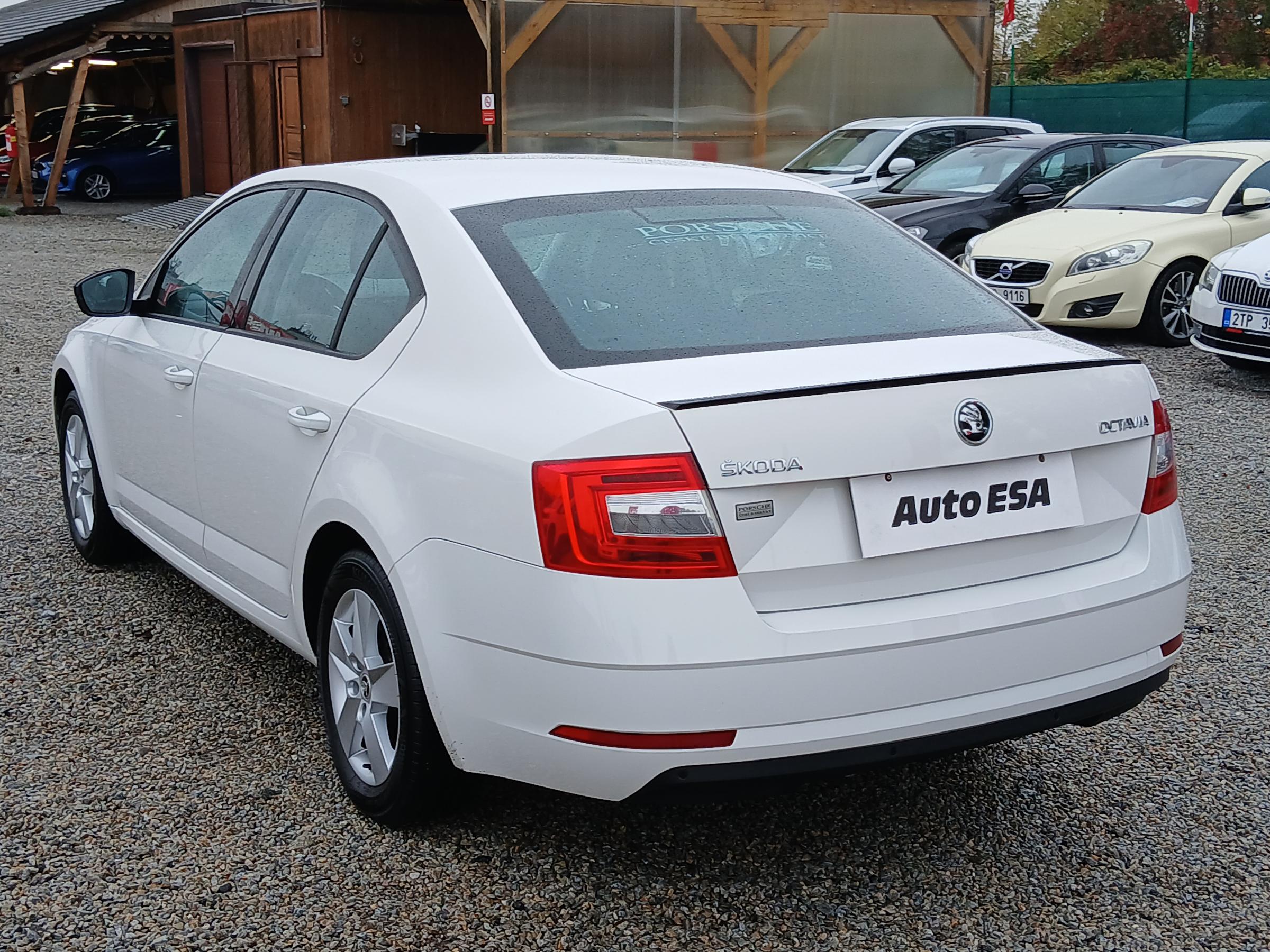 Škoda Octavia III, 2019 - pohled č. 6