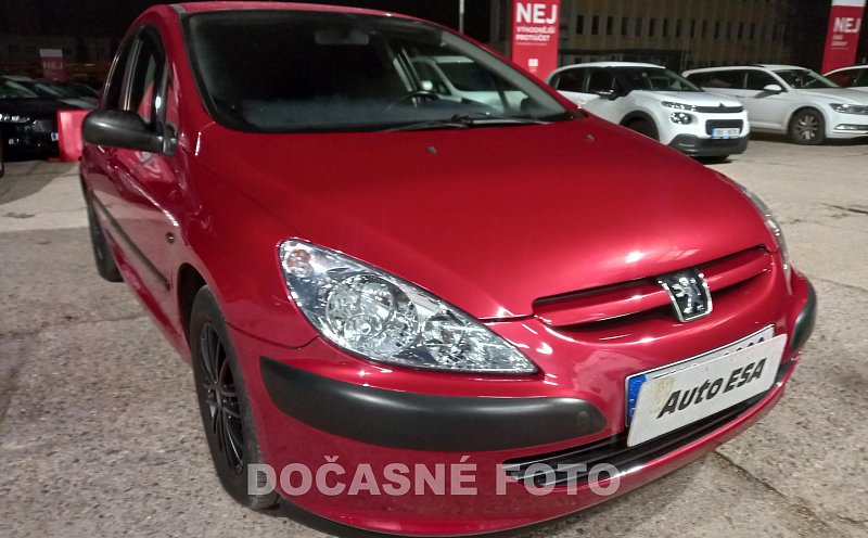 Peugeot 307 1.6 i 