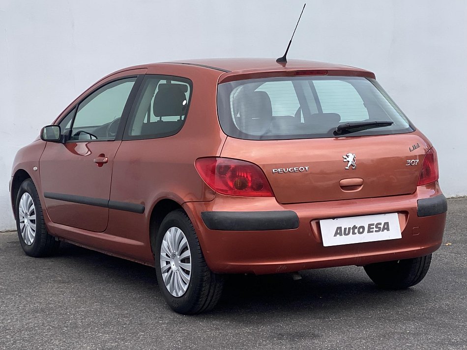 Peugeot 307 1.6i 