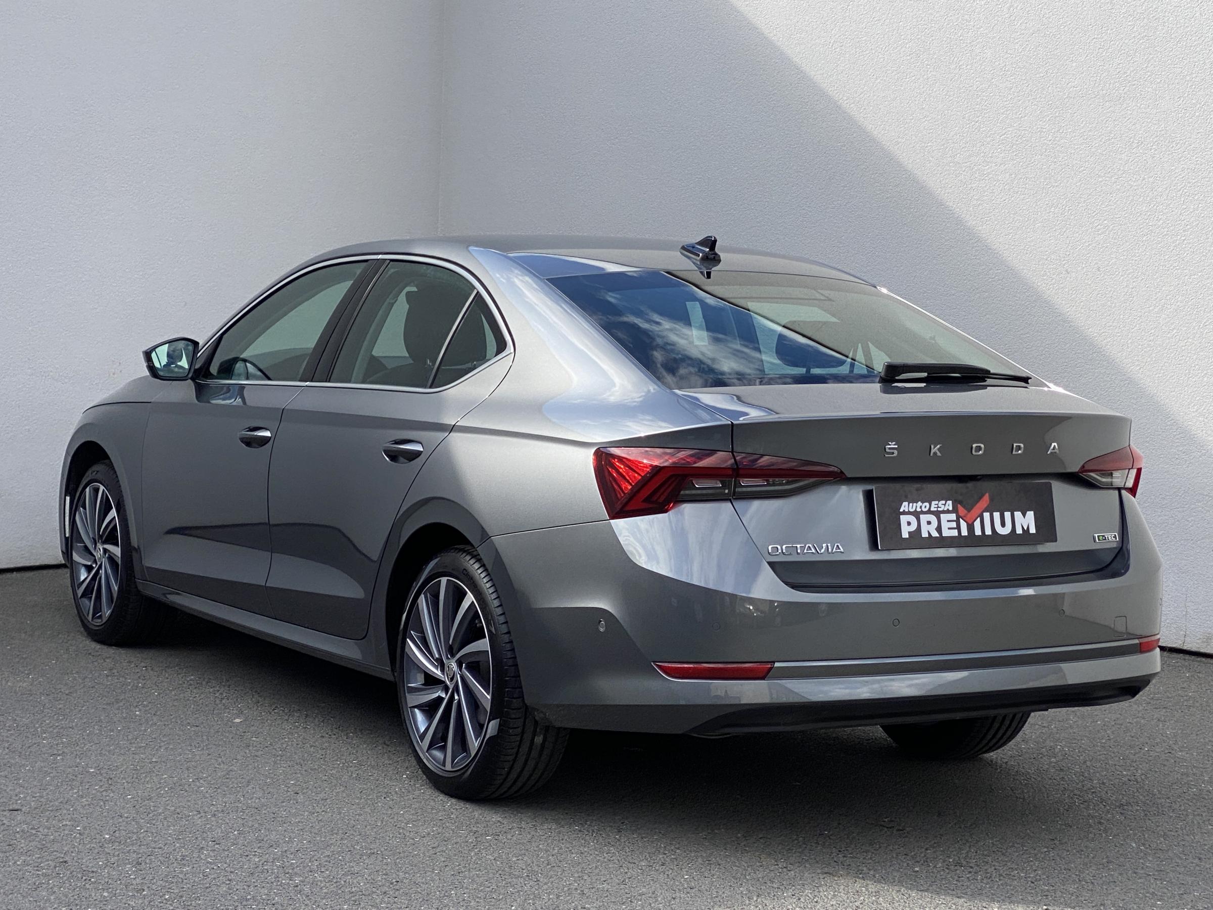 Škoda Octavia IV, 2024 - pohled č. 6